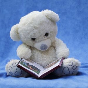 teddybearbook